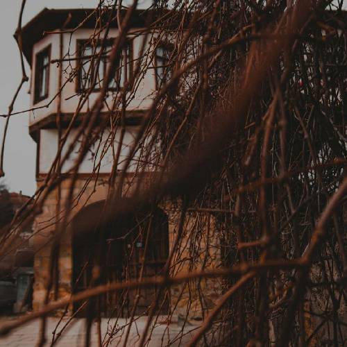  کاسبش ماییم دادا تو جیباته تا سه بشماری کاسبش ماییم